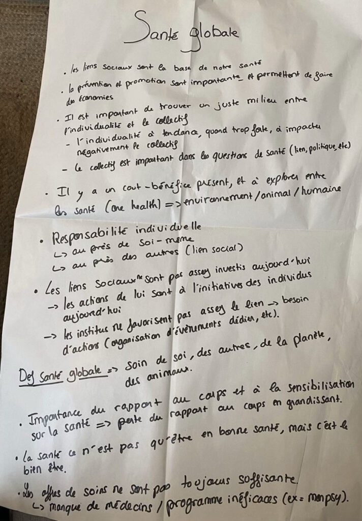Support de synthèse produit par les participants sur le prisme 1 : Santé globale